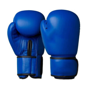 Competition Boxing Glove